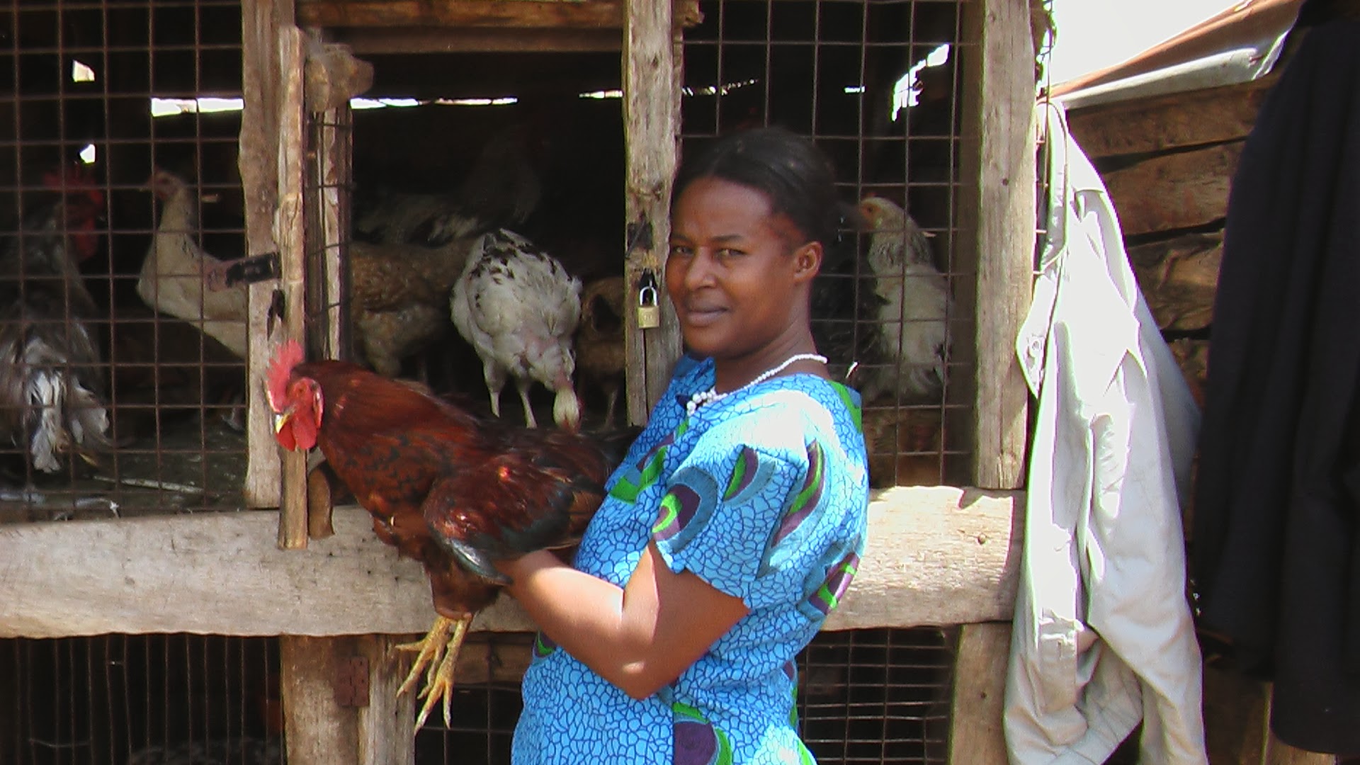 鶏を抱える養鶏業の女性（ケニア、2007年）
